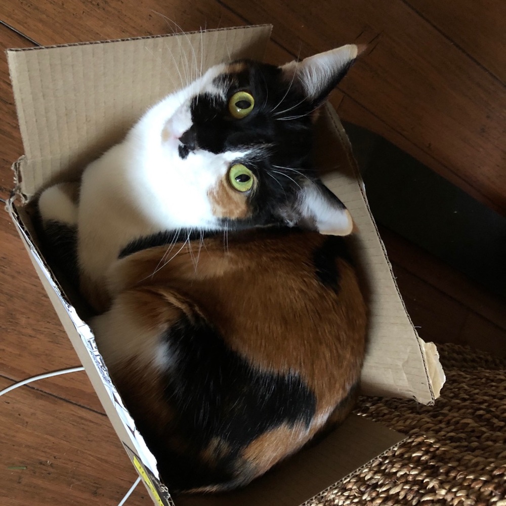 Meet your Posher, Kathy